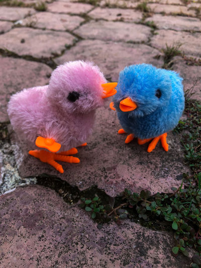 This is a kid's toy in the shape of a pink and blue chick