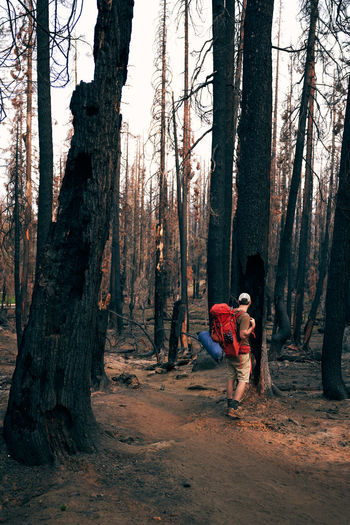 Man backpacking through burn zone