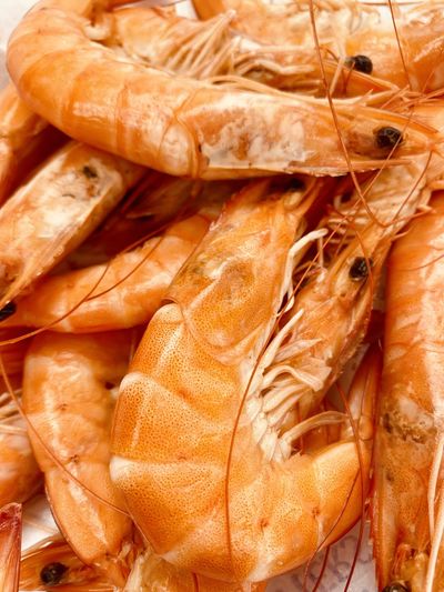 Close-up of pink shrimps