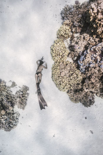High angle view of woman snorkeling undersea