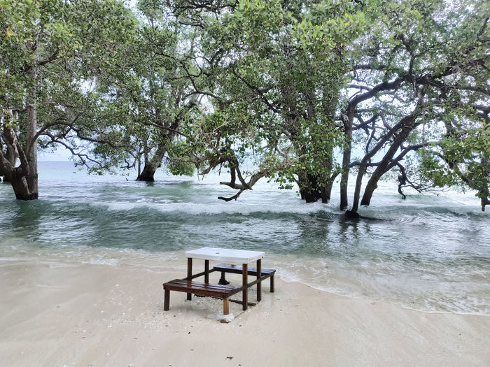 Empty bench on beach against trees