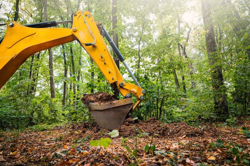 Bulldozer digging soil by tree trunk in forest