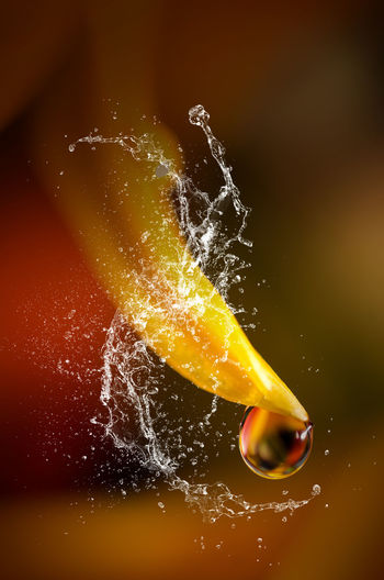 Close-up of water drops on glass against orange background
