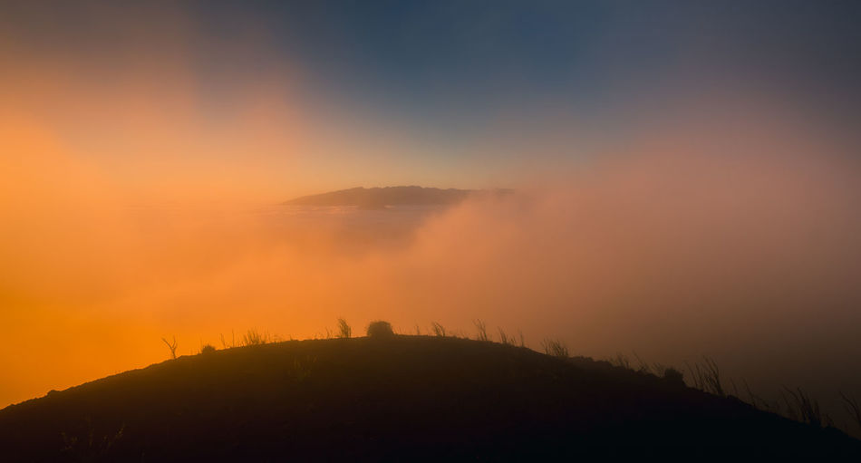 Magnificent view of grassy hill surrounded by thick mist at sundown in highland area