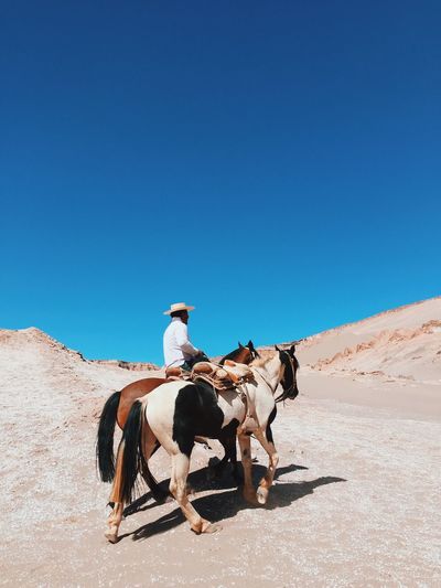 Person riding horse in desert