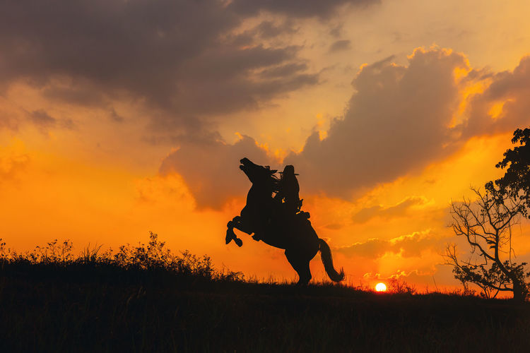 A cowboy on a horse springing up and a riding horse silhouetted against the sunset