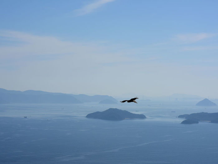 Bird flying over islands and ocean against sky