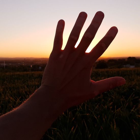 Close-up of hand on field against sky during sunset
