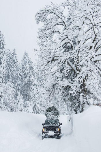 Austria, salzburger land, lammertal, car with christmas tree on roof on snowy road