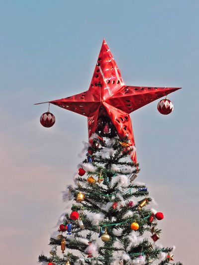 Low angle view of christmas tree against sky