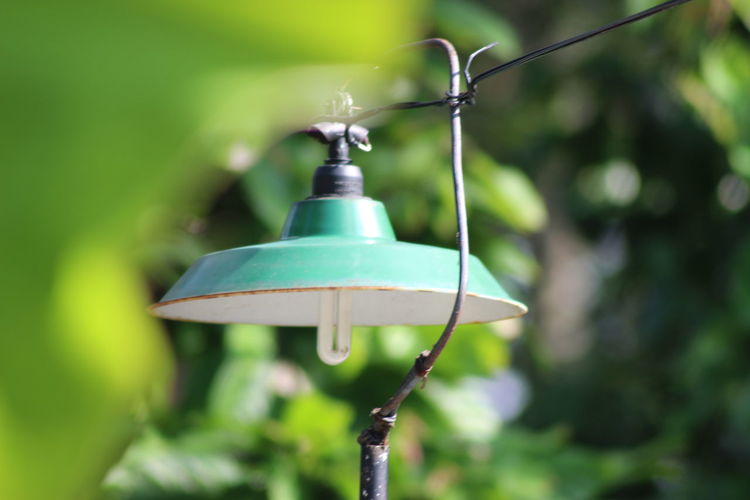 Close-up of electric lamp hanging on rope in yard