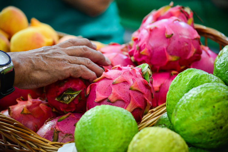 Close-up of hand holding pitayas in basket