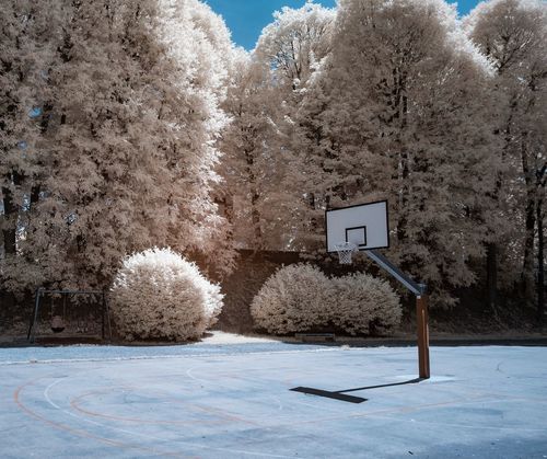 VIEW OF BASKETBALL HOOP ON SNOW COVERED LANDSCAPE