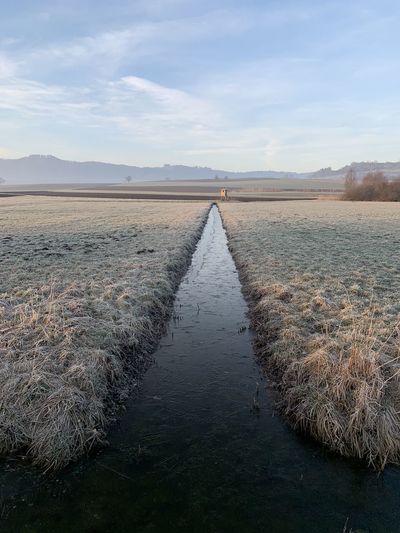Scenic view of agricultural field against sky