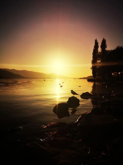 Dreamy sunset on the lakeshore