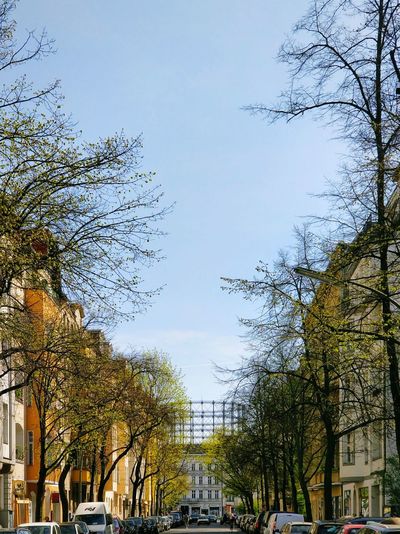 Street amidst trees and buildings and gasholder against sky