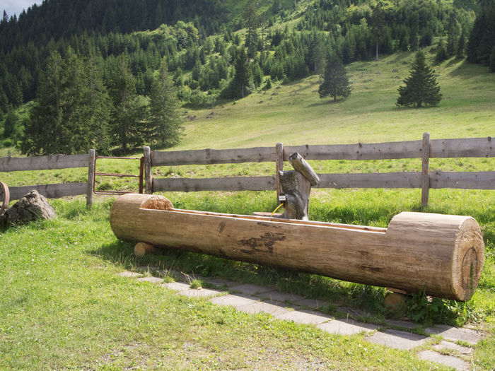 Wooden troughs fed with spring water on a fence in front of an alpine meadow forest in bavaria.