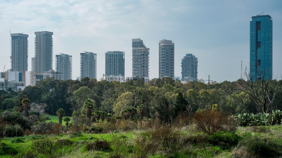 Trees and buildings in city against sky