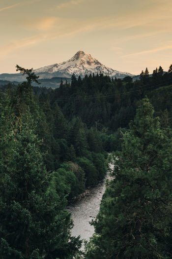 A view of mt. hood and the hood river at sunset.
