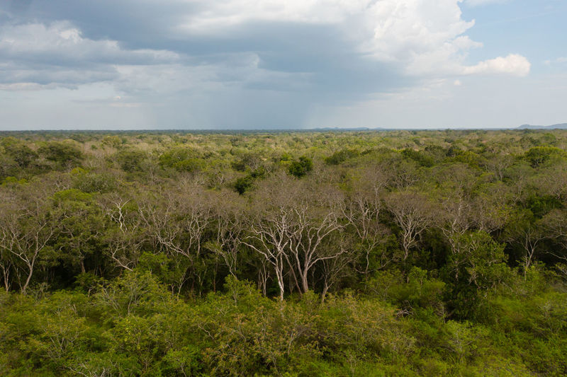 natural environment