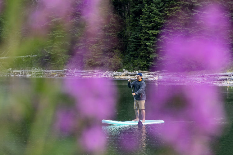 Man on paddle board rowing on duffey lake in forest with wildflowers