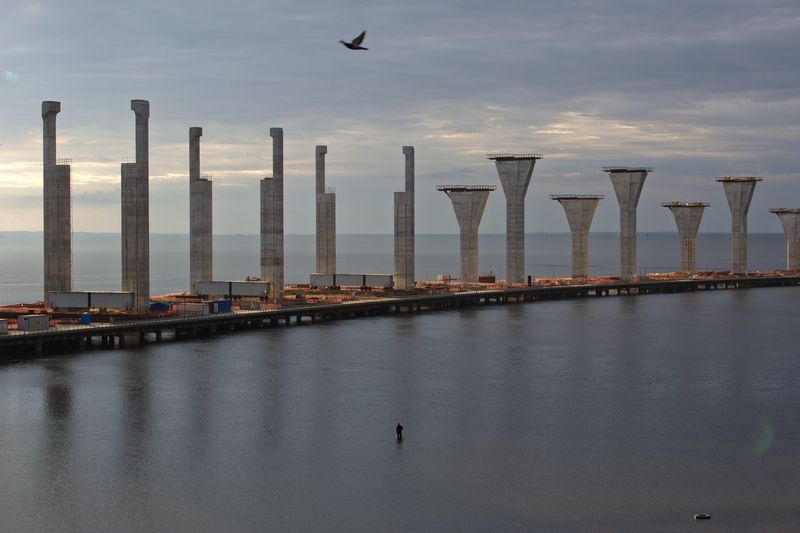 Bird flying over sea