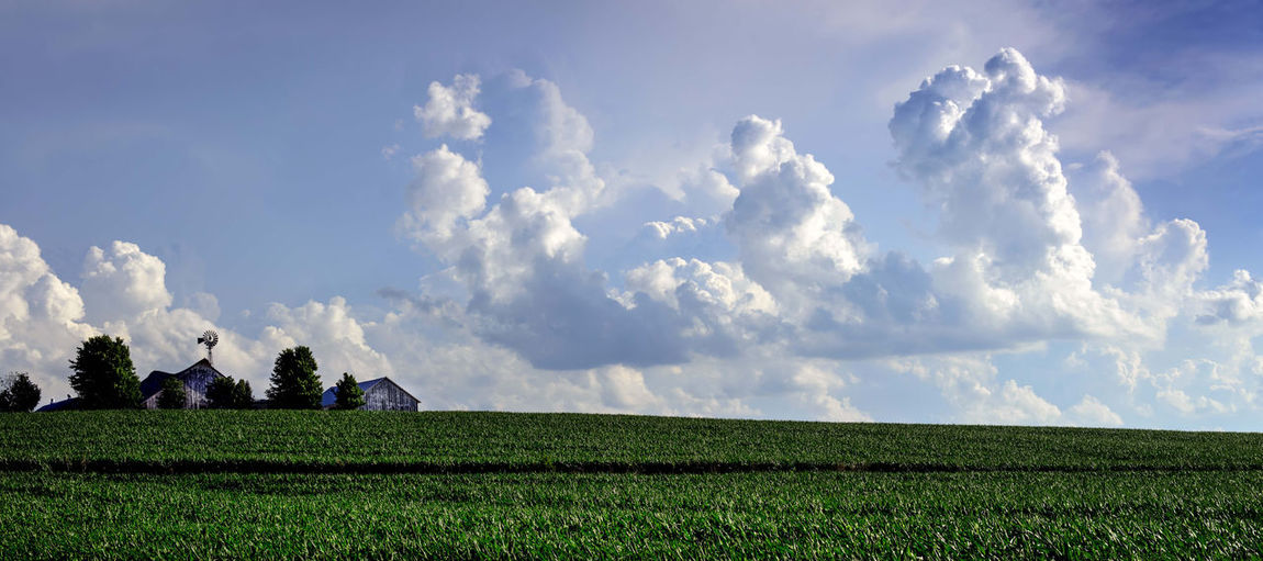 Panoramic view of agricultural field against sky