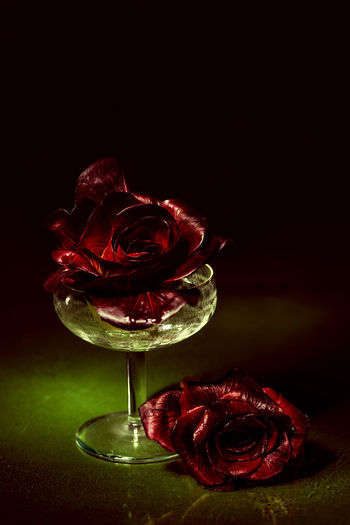 Close-up of red rose on table against black background