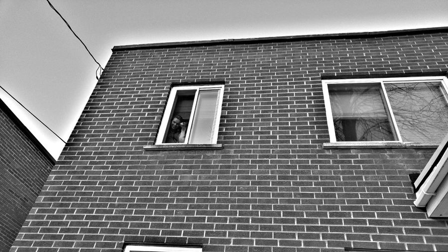 Low angle view of woman with dog looking through window