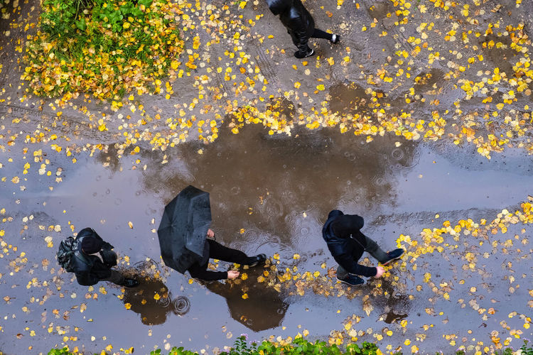 High angle view of people on leaves during autumn