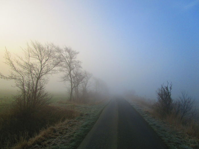 Empty road along trees and plants against sky