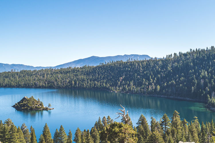 Scenic view of lake by trees against clear blue sky