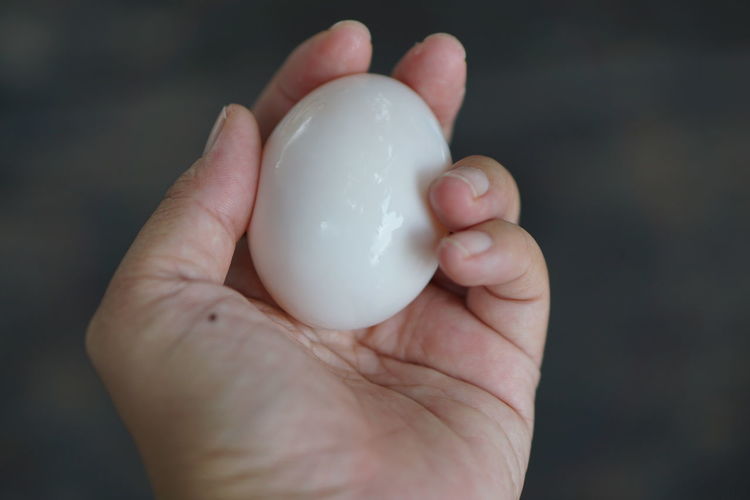 Close-up of hand holding boiled egg