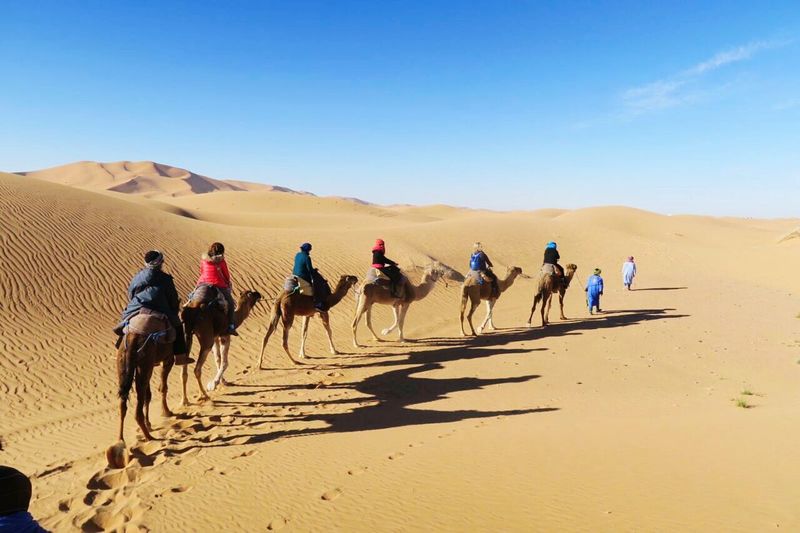 People on camels in the desert
