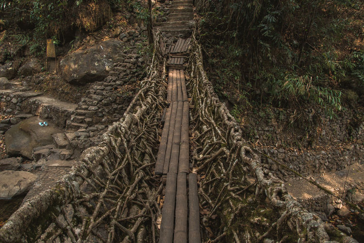 High angle view of bridge in forest
