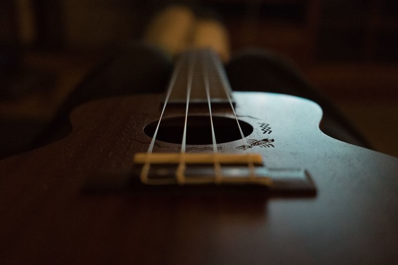 Close-up of guitar in darkroom
