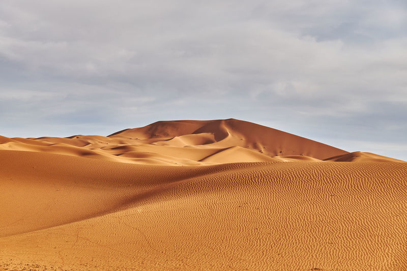 Desert dune merzouga morocco 