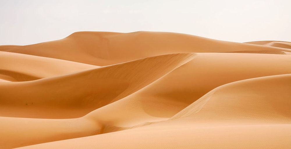 Close-up of sand dune