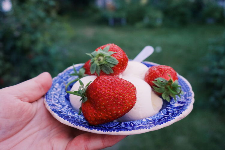 Cropped hand holding strawberries in plate