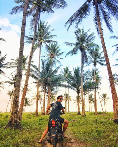 Man riding bicycle on palm tree against sky