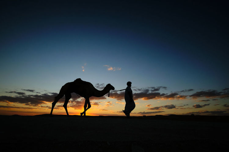 Silhouette people with a camel at sunset