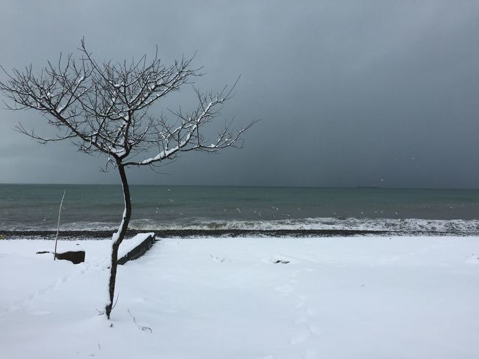Bare tree by sea against sky during winter