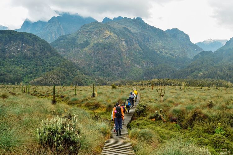 A group of hikers in the panoramic mountain landscapes of rwenzori mountains, uganda