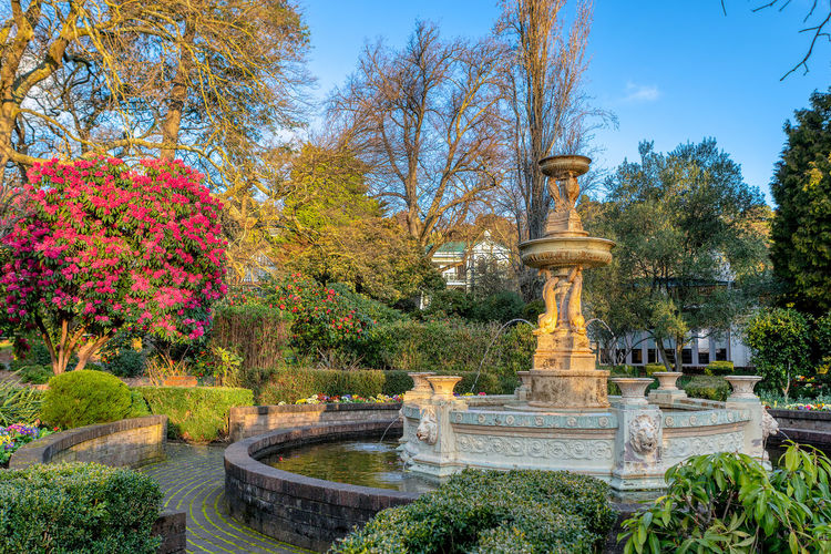 Statue in garden against sky