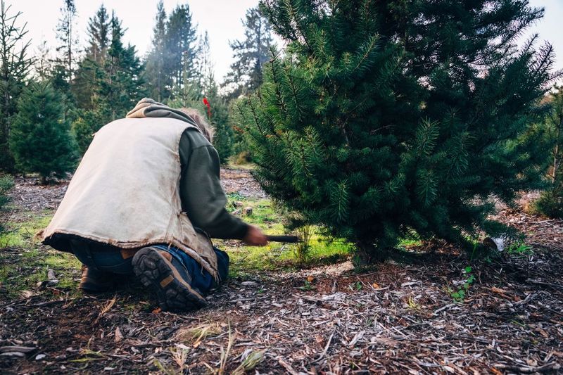 Man in forest 