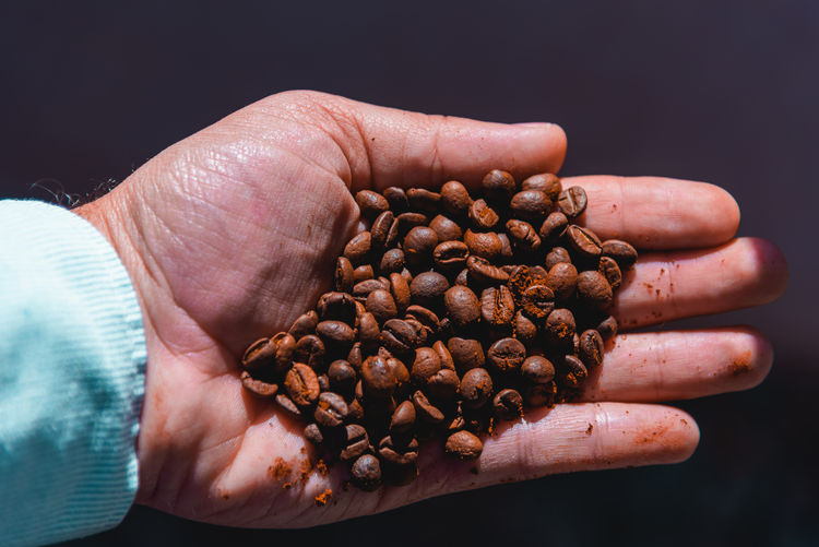 Close-up of hand holding coffee beans