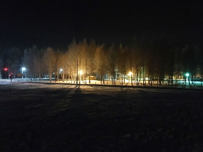 Illuminated street lights in winter at night