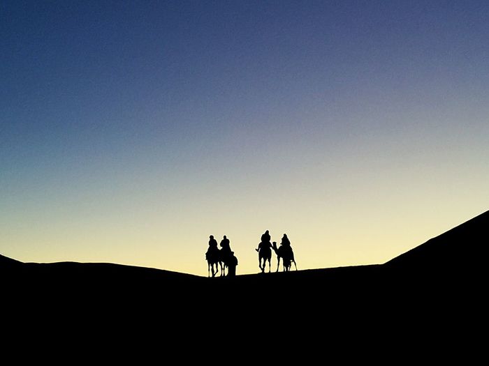 Silhouette people riding horse in desert against clear sky