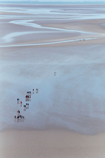 Tourists on sand beach near mont saint michel at low tide quicksand