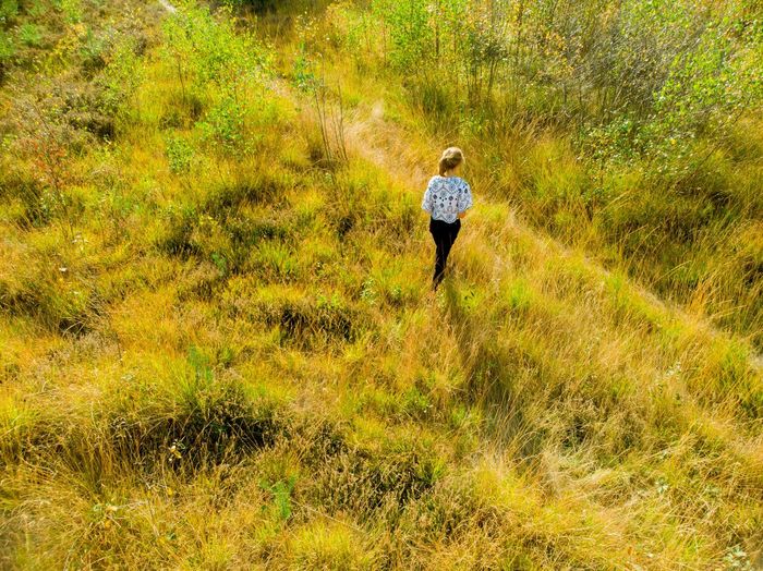 Rear view of woman walking in field